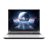 七彩虹 隐星P16 Pro 16英寸游戏本（i5-14450HX、RTX5060、2.5K 180Hz、16G、512G SSD）