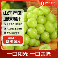 趣尝鲜 山东阳光玫瑰青提 净重4.5斤 单枚12g 新鲜葡萄提子源头直发包邮