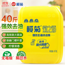 榄菊 洗洁精大桶20kg菊之语商用酒店食堂通用柠檬洗涤灵食品用级别 1瓶装