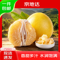京地达 广西白心蜜柚 大果2个装 净重4.5斤 生鲜水果 源头直发包邮