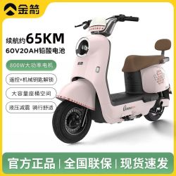金箭 灵可60V电动轻便摩托车官方正品时尚好骑