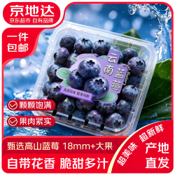 京地达 云南花香蓝莓单果18mm-22mm  2盒*100g/盒新鲜水果源头直发包邮