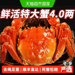 仲秋 大闸蟹鲜活现货全母公螃蟹礼盒湖鲜河蟹去绳净重