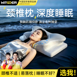 智国者 护颈枕头侧睡颈椎枕深度睡眠打呼噜成人专用人体工学蝴蝶记忆棉枕