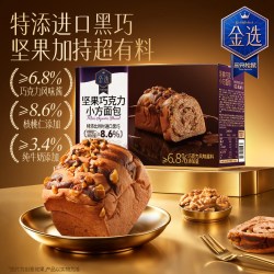 三只松鼠 坚果巧克力小方面包420g