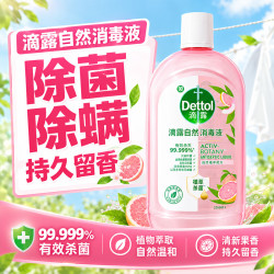 滴露 消毒液衣物除菌液洗衣消毒水 衣物混洗杀菌除螨 非84酒精 衣物消毒液1L