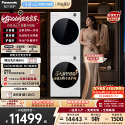 松下 白月光6.0高奢升级版 洗烘套装12KG变频高端大容量套装82E2+82ER2