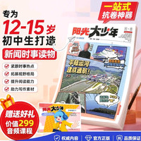 阳光大少年 2027年1月-12月