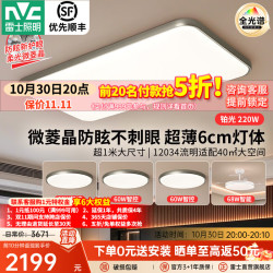 雷士 今晚抢5折包安装！led吸顶灯客厅大灯卧室书房灯具2026新款风格意式极简包豪斯-铂光