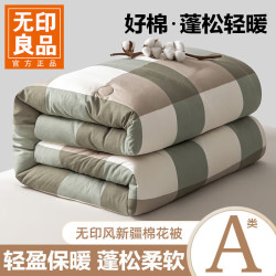 无印良品 A类无印风新疆棉花被子被芯加厚保暖冬被春秋被棉被四季通用 绿大格 180x220cm约6.5