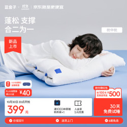 蓝盒子 枕中枕N3记忆棉枕头成人深睡枕护颈枕新品抗菌防螨慢回弹10/12cm