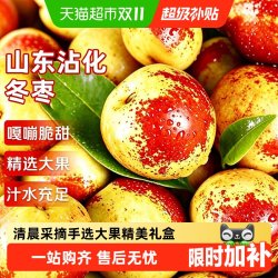京运达 正宗山东沾化冰糖冬枣大果新鲜应当季整箱水果礼盒脆甜枣子斤