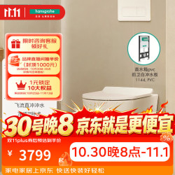 汉斯格雅 壁挂马桶 高水箱pvc前卫白冲水板