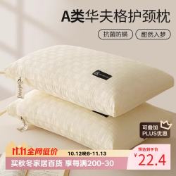 梦诗娜 纤维枕 星级酒店枕头枕芯简约枕 48*74cm泡泡纱