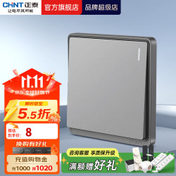 正泰 开关插座面板带USB-type-C网线墙面5孔空调墙壁全屋套餐6M幻银灰 一开双控10A