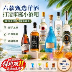 路易马西尼 洋酒调酒基酒套装金酒零基础入门