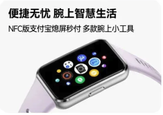 华为 手环11 专业睡眠监测 智能手环 标准款 流光紫