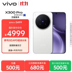 vivo X300 Pro 卫星通信版 12GB+256GB 简单白 蔡司2亿APO超级长焦 蓝图影像双芯 拍照 AI手机