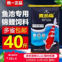 统一 宝多福锦鲤鱼饲料增体鱼粮增色锦鲤鱼食不浑水育成观赏鱼饲料 20kg 主食L大粒7.5mm（上浮料）