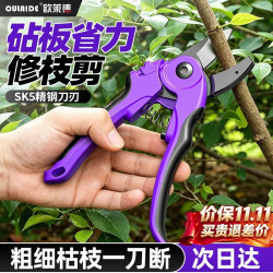 欧莱德 园艺修枝剪果树强力粗枝剪刀家用园林盆栽花艺省力树枝修剪工具