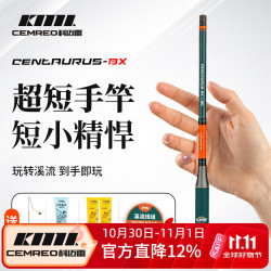 CAMERO 射手小物钓鱼竿套装2.4米儿童钓鳑鲏白条马口便携迷你溪流手竿青 2.4m 37调