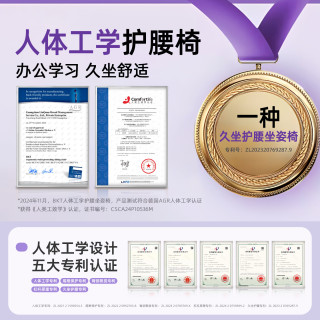 美凯腾 护腰坐垫靠垫久坐椅垫办公室腰靠垫人体工学坐姿椅靠背送父母长辈