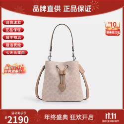 COACH 女包Rowan 22抽绳开合女款水桶包子母包单肩斜挎包双11女士礼物 CBH07 SVPWH