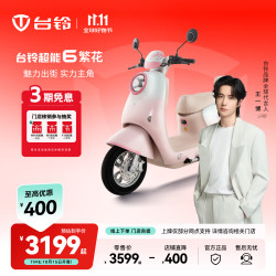 台铃 长续航 电动摩托车