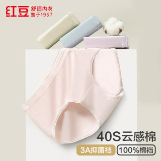 Hodo 男装 纯棉抑菌裆 165/72A 4条装 女士中腰三角内裤