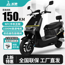 五羊2025款电动摩托车NFC解锁大功率电动车俩轮代步电摩男女时尚电动踏板车 骑士黑/1300W强劲电机/前碟后鼓 1.0需自配电池充电器无