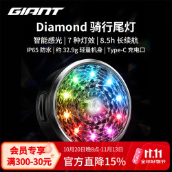 捷安特 Diamond 高亮防水 骑行尾灯