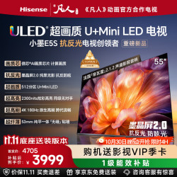 海信 小墨系列 55E5S 液晶电视 55英寸
