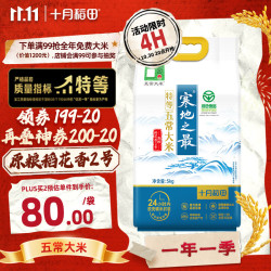 十月稻田 25年新米 龙凤山产区 限量 绿色特等五常大米 10斤 绿色特等五常大米5kg
