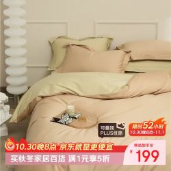 AIDLI 纯棉100支 床上套件  200