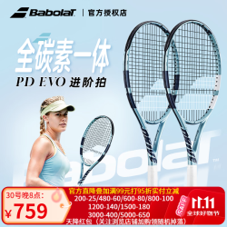 百保力 EVO Drive进阶拍网球拍全碳素网球拍百宝力成人专业拍男女正品拍 270g|102