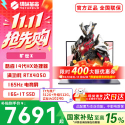 机械革命 旷世X 16英寸酷睿i7HX电竞游戏本 14代酷睿HX/4050/16G+1T/灰