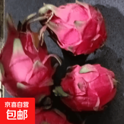 . 正宗广西红心火龙果金都一号鲜甜应季水果现摘新鲜整箱批发 带箱2斤（单果100g+）