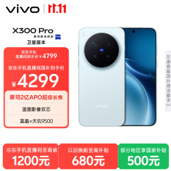 vivo X300 Pro 卫星通信版 12GB+256GB 自在蓝 蔡司2亿APO超级长焦 蓝图影像双芯 拍照 AI手机