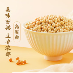 柴火大院 黑龙江黄豆 1kg