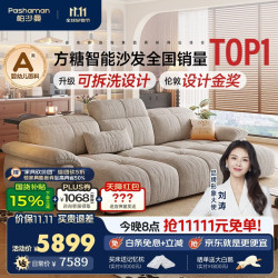 帕沙曼 全拆洗电动沙发床小户型客厅现代简约布艺功能沙发床2.69米 GF598