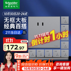 施耐德 JC-PJ06系列 S1大板 斜五孔 魅影灰色 10只装 开关插座