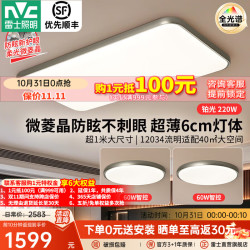 雷士 今晚抢5折led吸顶灯客厅大灯护眼IP40防尘意式极简包豪斯-铂光2室1厅