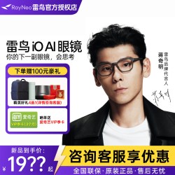 雷鸟智能眼镜 雷鸟iO AI智能眼镜34克轻巧佩戴 双目显示ar眼镜翻译提词录音 千问/deepseek大模型