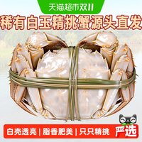 88VIP：仲秋 大闸蟹鲜活现货特大全母螃蟹公湖鲜河蟹精品礼盒