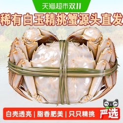 仲秋 大闸蟹鲜活现货特大全母螃蟹公湖鲜河蟹精品礼盒