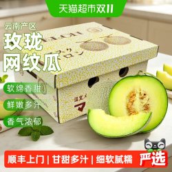 欢乐果园 正宗玫珑网纹蜜瓜甘甜多汁甜瓜节日送礼礼盒装当季新鲜水果