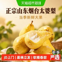 京运达 正宗山东烟台太婆梨应当季新鲜水果香蕉梨茄梨整箱大果