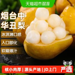 寻天果蔬 丑梨正宗山东烟台丑梨新鲜水果软糯多汁软吃香甜梨子整箱装丑梨