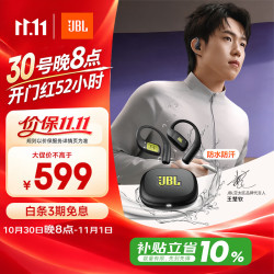 JBL Endurance Zone 真无线挂耳式蓝牙耳机 峡谷绿