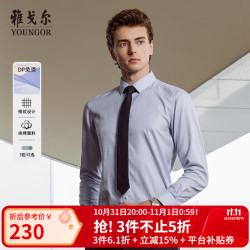 雅戈尔 衬衫男DP免烫秋冬青年男长袖衬衫全棉面料格子衬衫 蓝色格纹VLDP119722HFY 39